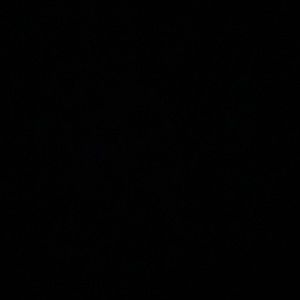 Meet your Posher, Evie